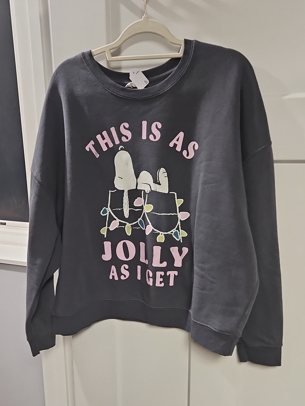 Peanuts Charcoal Gray Crewneck Sweatshirt with Pink & Pastel Graphic